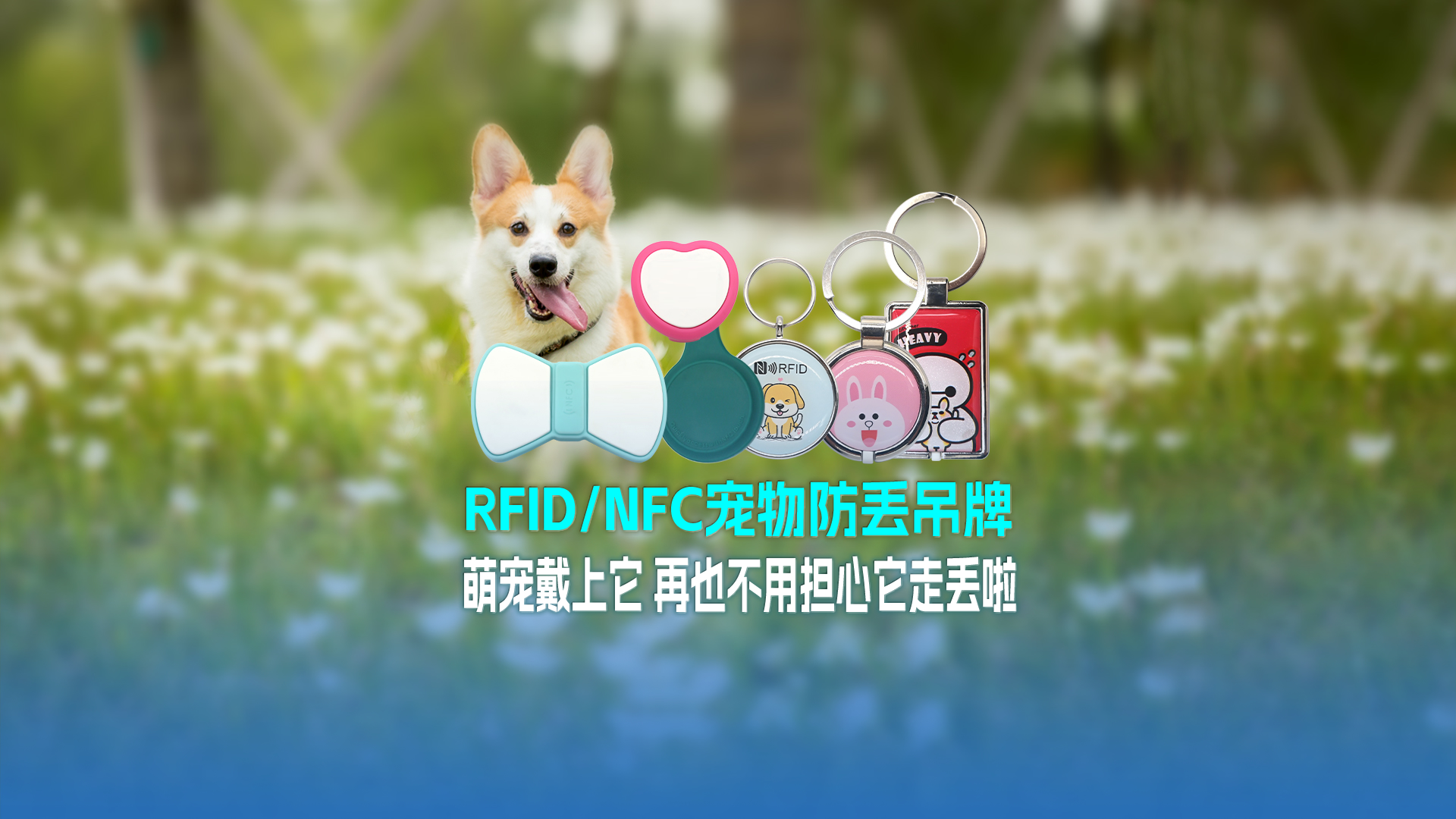 壹定发集团RFID宠物防丢吊牌：萌宠戴上它 再也不必担心它走丢啦